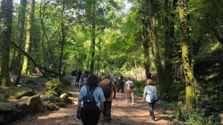 A Deputación esgota en minutos todas as prazas para participar nas rutas de xullo do programa provincial +Bosques