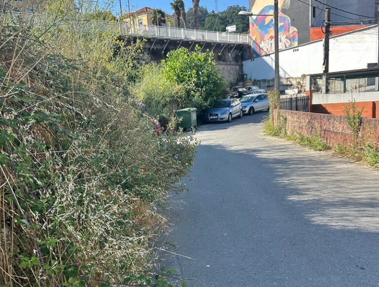 Los vecinos de Teis denuncian que la maleza «se come» calles y caminos por la falta de desbroces