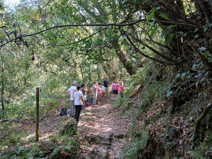 RS28567_20250804_maisbosques (1)