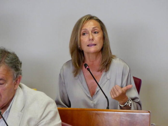 040826 OrdenanzasFiscales luisa sanchez
