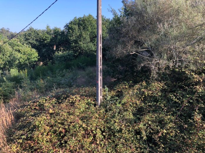 vilas gondomar finca sin desbrozas