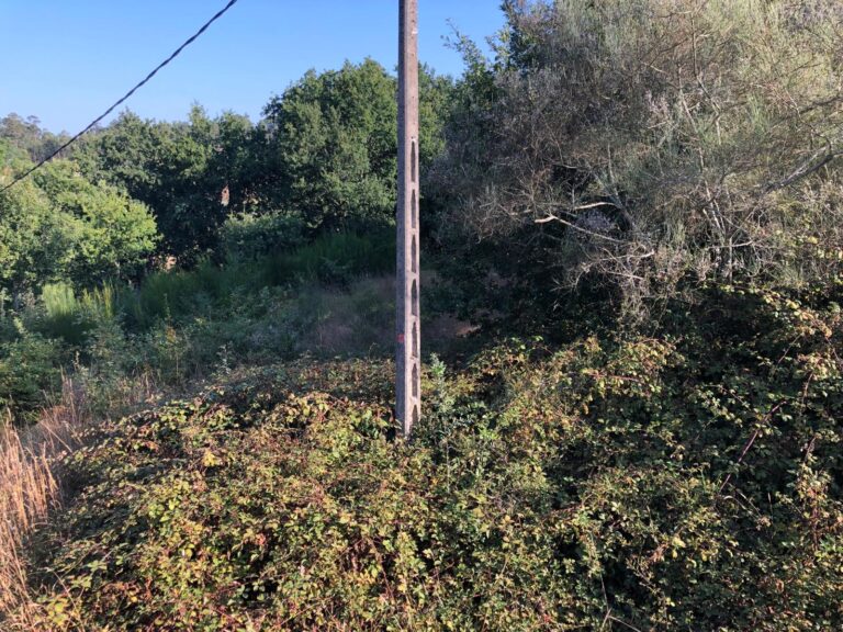 Vecinos de Vilas, en Gondomar, alertan de fincas sin desbrozar junto a viviendas ante el riesgo de incendios