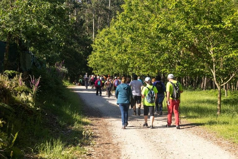 Vigo retoma este otoño el programa medioambiental Camiño a Camiño