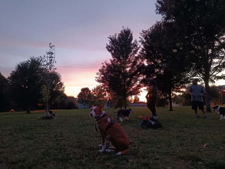 Familias con perros de Barreiro piden explicaciones tras ser advertidas de posibles multas en el parque