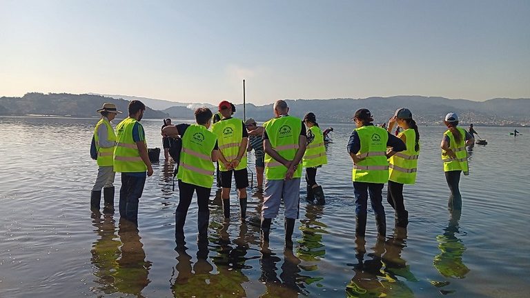 Cerca de 1.200 personas participan en los talleres de marisqueo del proyecto Awaves en las Rías Baixas