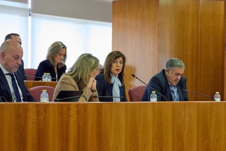 El Pleno de Vigo pide por unanimidad a la Xunta una mesa de diálogo con los vecinos afectados por los proyectos de vivienda de Lavadores